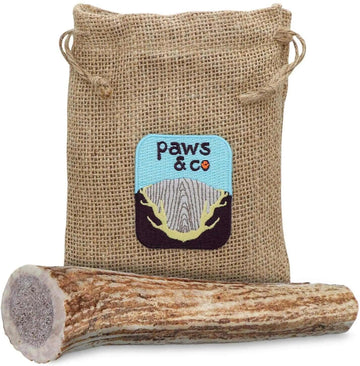 Whole Antler Chew