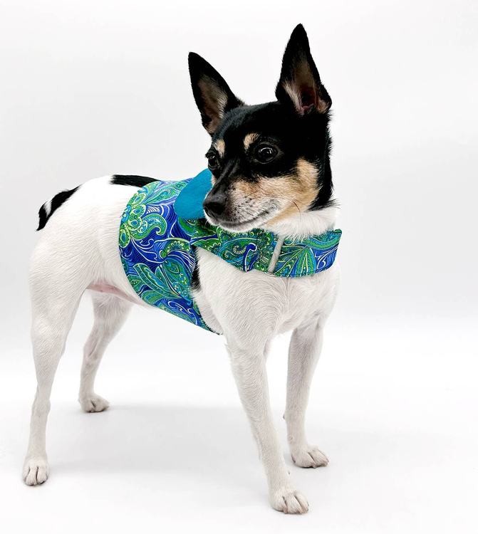DCNY "Pretty in Paisley" Vest-Style Harness