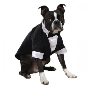 East Side Coll Yappily Ever After Groom Tux